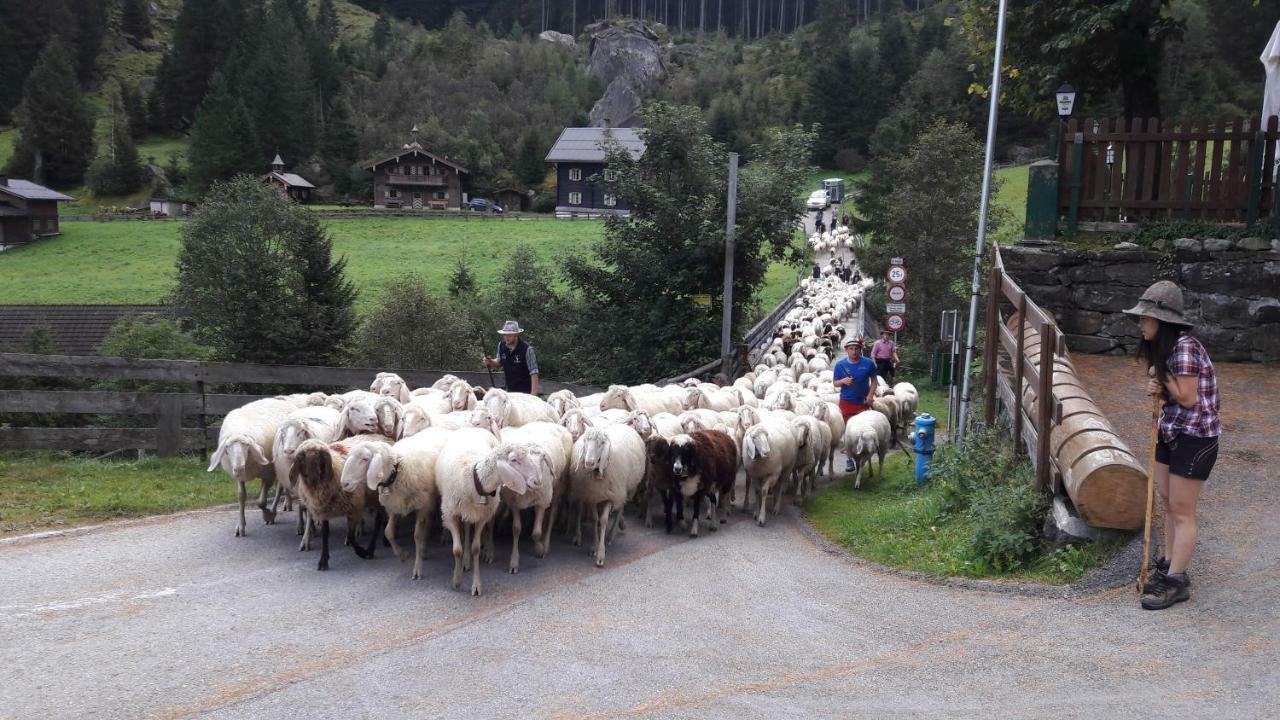 Fewo "Unterm Wald" Stumm Eksteriør bilde
